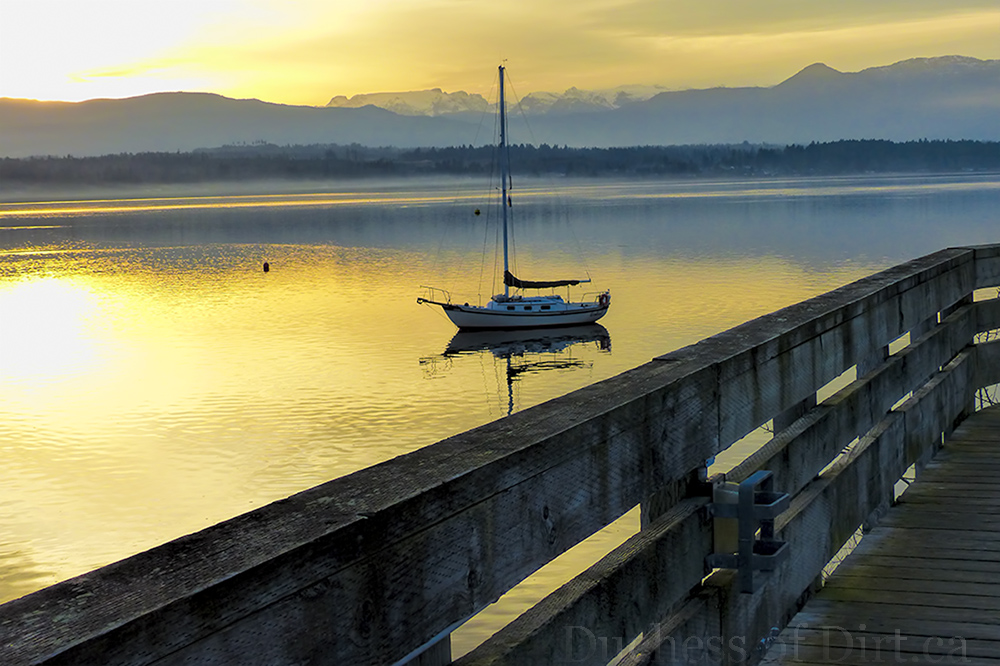 Comox marina 4 | The Duchess of Dirt