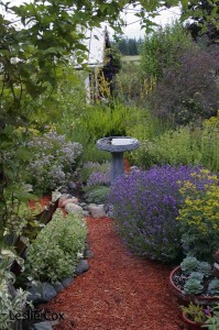 Herb garden & birdbath