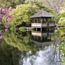 Japanese Garden - Royal Roads, Victoria