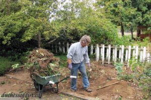 Clearing for woodshed