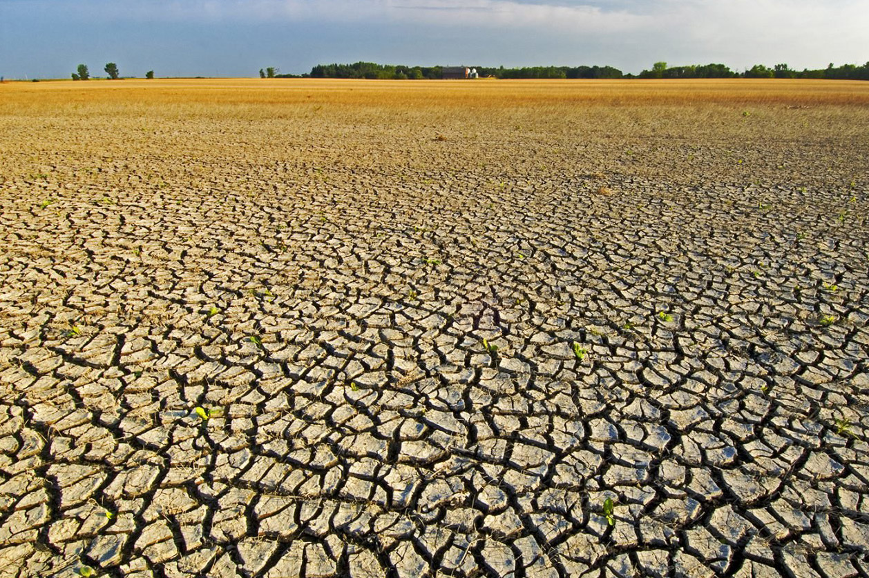 drought in St. Jean Baptiste, MB | The Duchess of Dirt